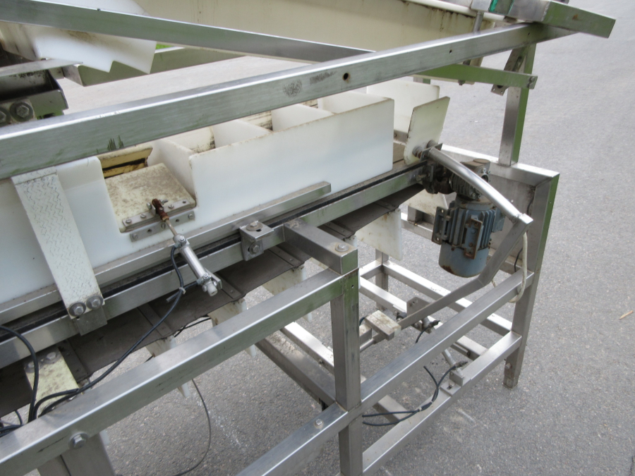 6235 Newtec NBM 50 Denester and punnet filler