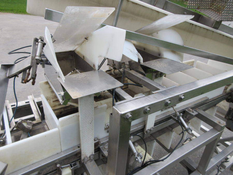 6235 Newtec NBM 50 Denester and punnet filler