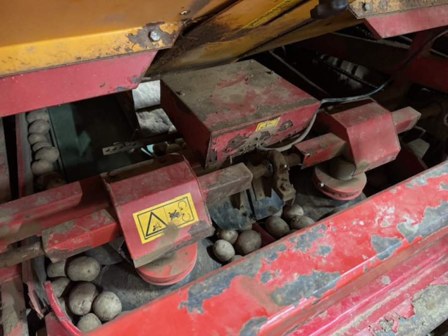 6261 Koningsplanter potato planter 4 row