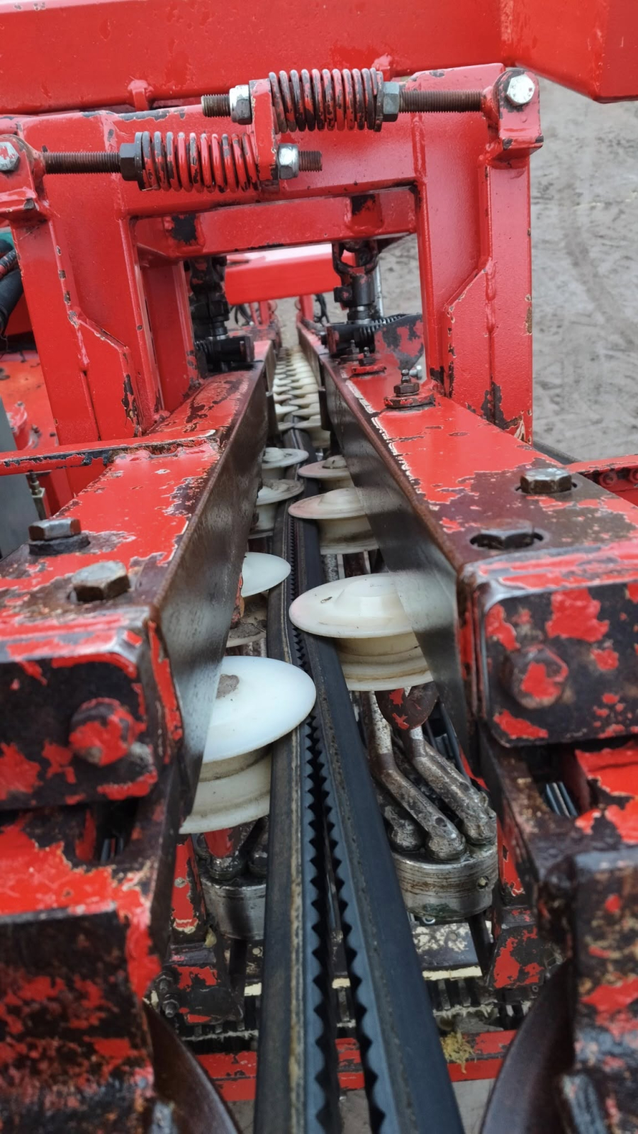 6267 Simon carrot harvester R1B3 with bunker