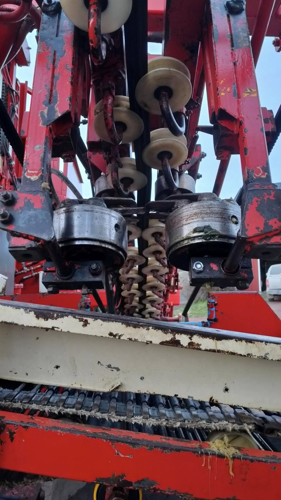 6267 Simon carrot harvester R1B3 with bunker