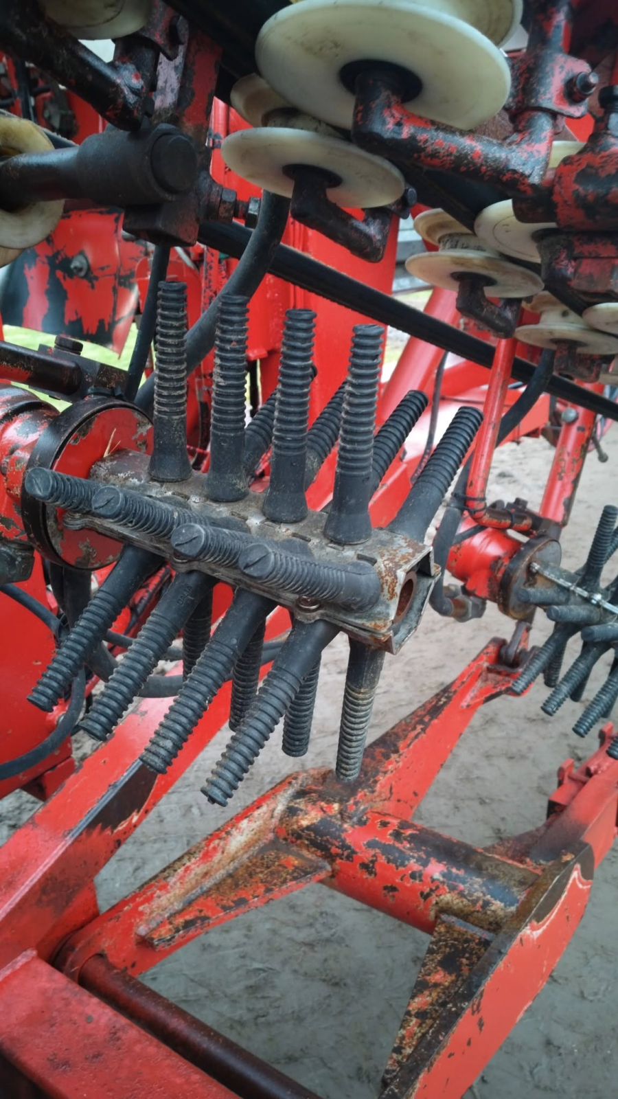 6267 Simon carrot harvester R1B3 with bunker