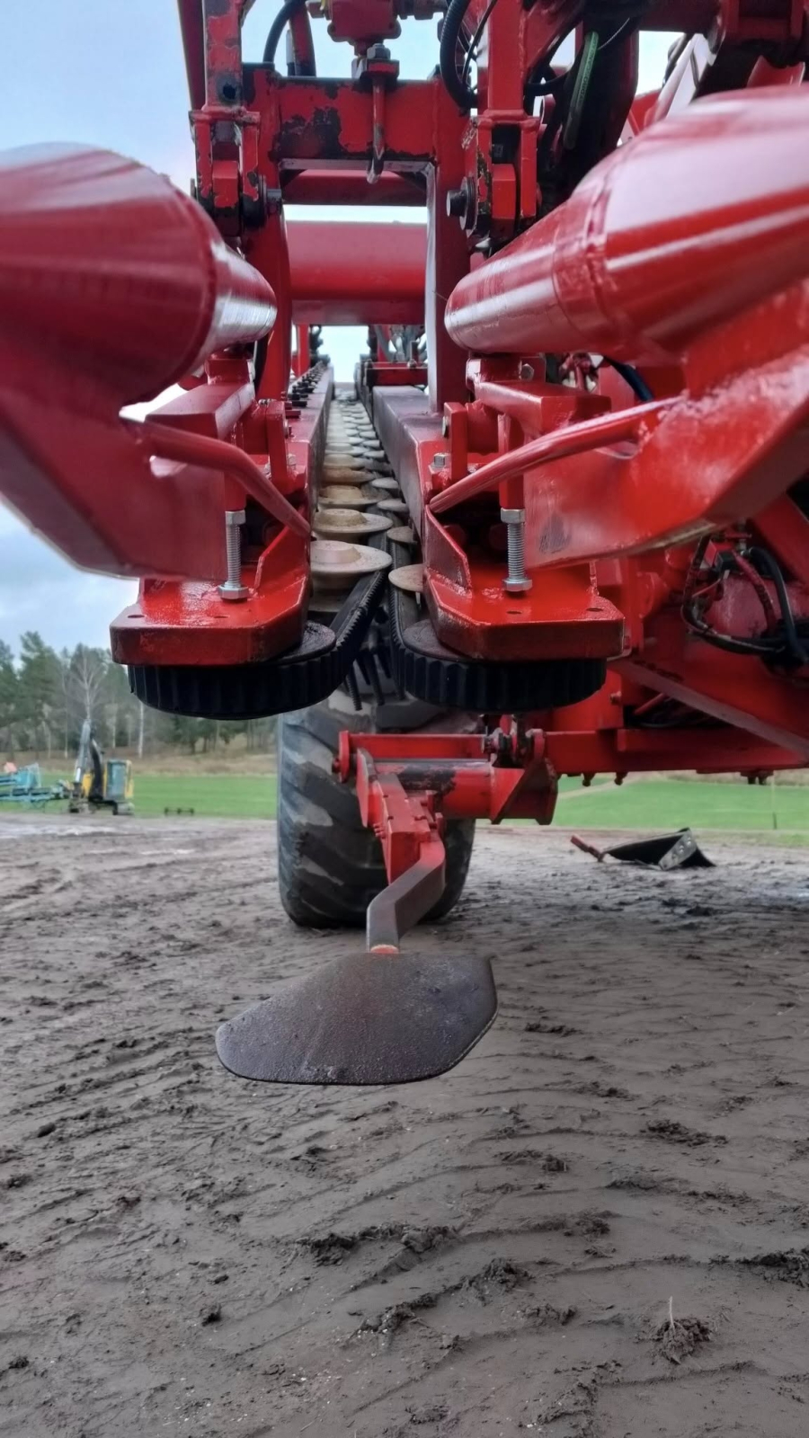 6267 Simon carrot harvester R1B3 with bunker