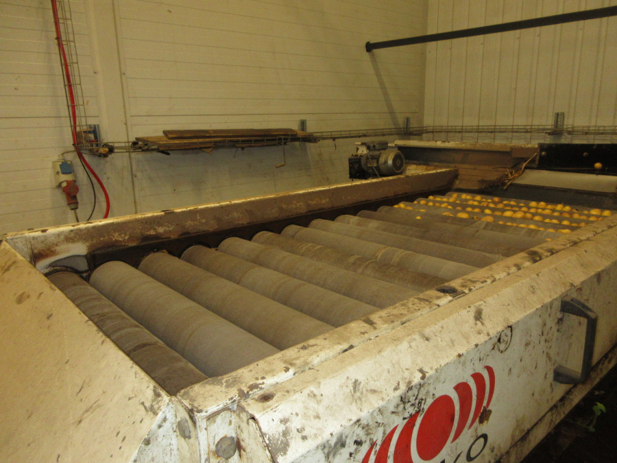 6298 Wyma polisher for potato year model 2021