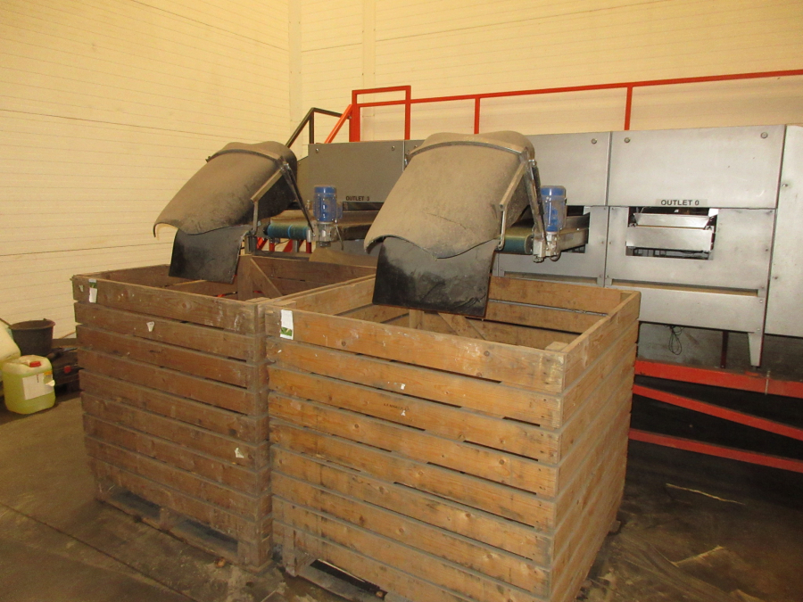 6299 Newtec celox optical sorter grader for potato