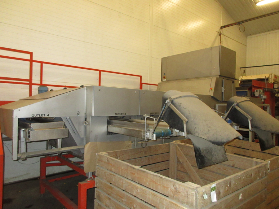 6299 Newtec celox optical sorter grader for potato