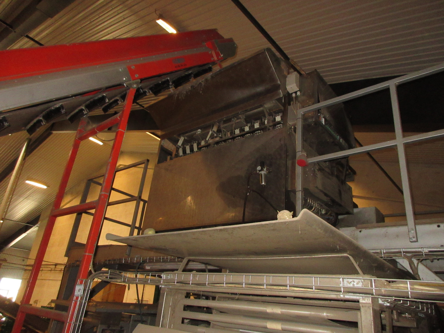 6300 Newtec 3013XL weigher with Jasa and Ilapak vertical baggers