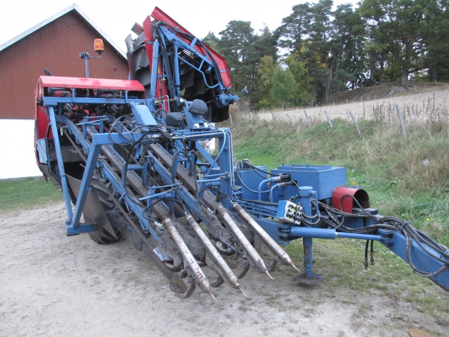 3668 Asa-Lift carrot harvester with elevator 2 row