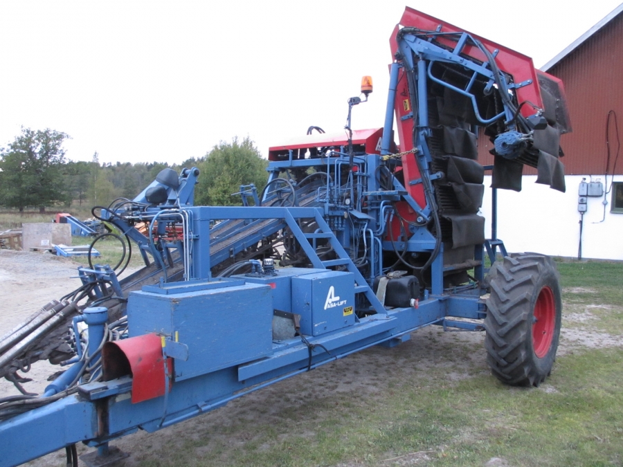 3668 Asa-Lift carrot harvester with elevator 2 row