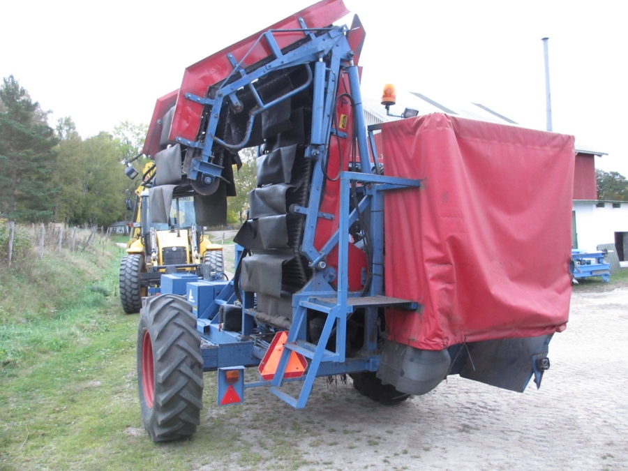 3668 Asa-Lift carrot harvester with elevator 2 row