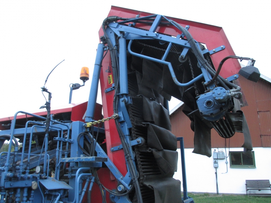 3668 Asa-Lift carrot harvester with elevator 2 row