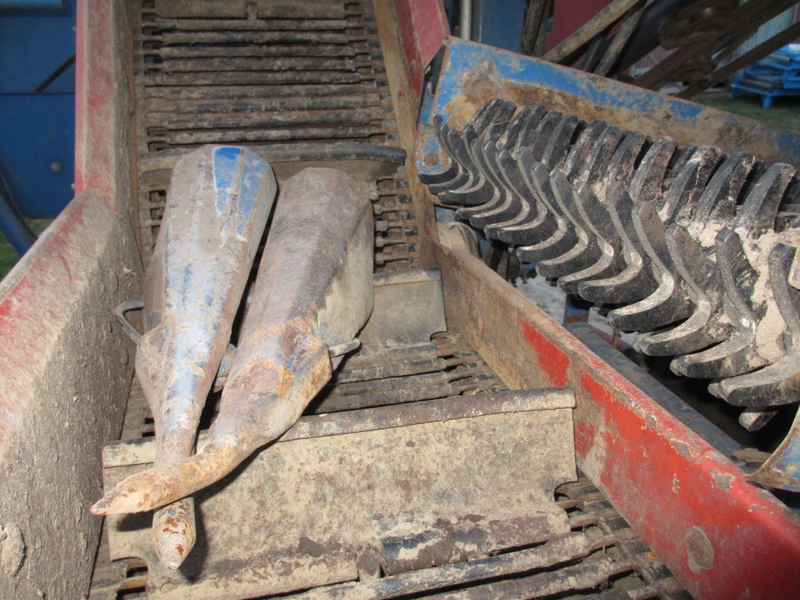 3670 Asa-Lift carrot harvester 1 row with bunker