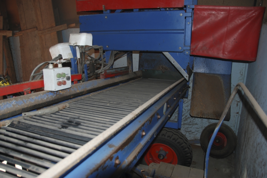 3089 Asa-Lift carrot harvester 1 row with front bunker