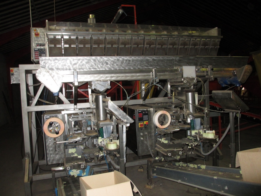 3731 Newtec 2014XBD multi head weigher complete packaging line