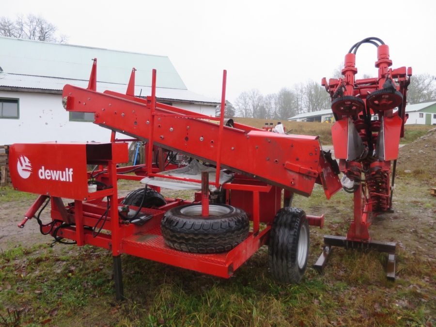 3920 Dewulf P3CC carrot harvester with auto box system