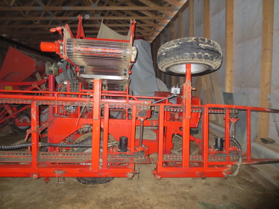 3920 Dewulf P3CC carrot harvester with auto box system