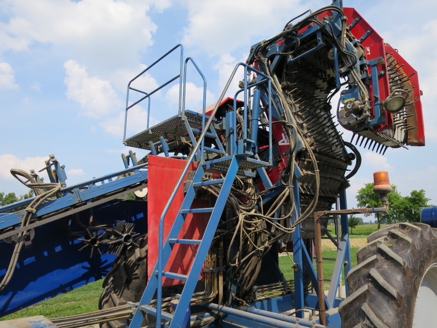 3967 Asa-Lift T255 2 row carrot harvester with elevato