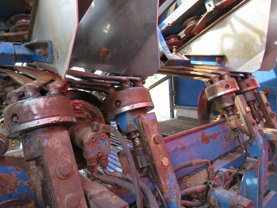 3967 Asa-Lift T255 2 row carrot harvester with elevato