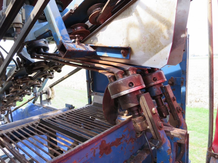 3967 Asa-Lift T255 2 row carrot harvester with elevato
