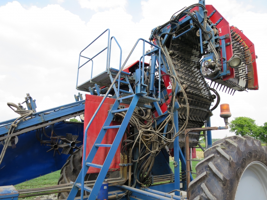 3967 Asa-Lift T255 2 row carrot harvester with elevato