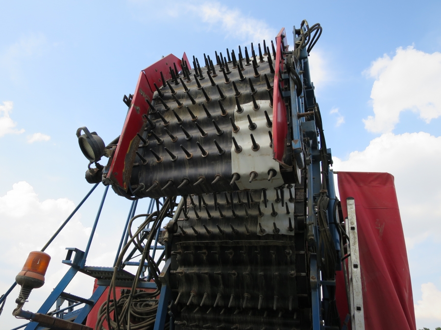 3967 Asa-Lift T255 2 row carrot harvester with elevato
