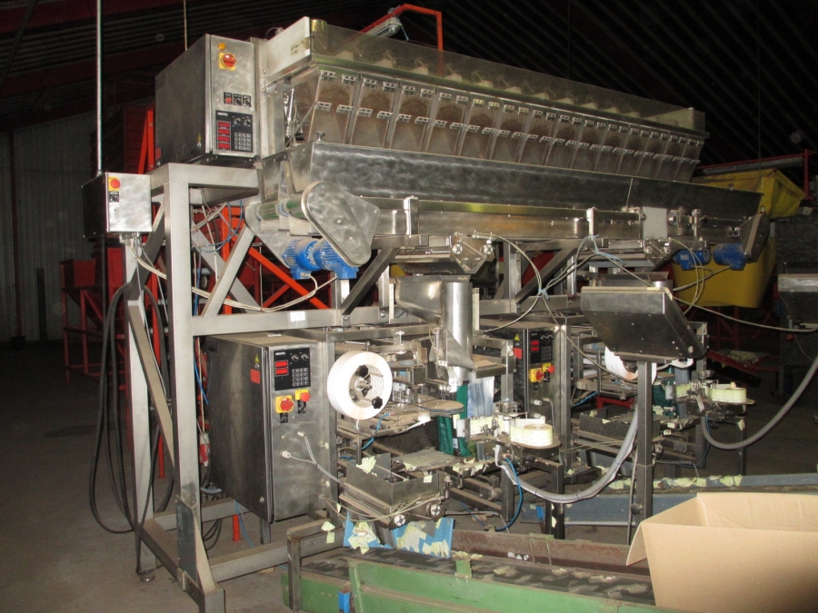 4010 Newtec 2014XBD multi head weigher complete packaging line