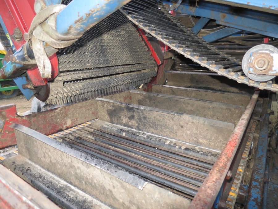 4016 Asa-Lift carrot harvester T-120B 1 row with bunker