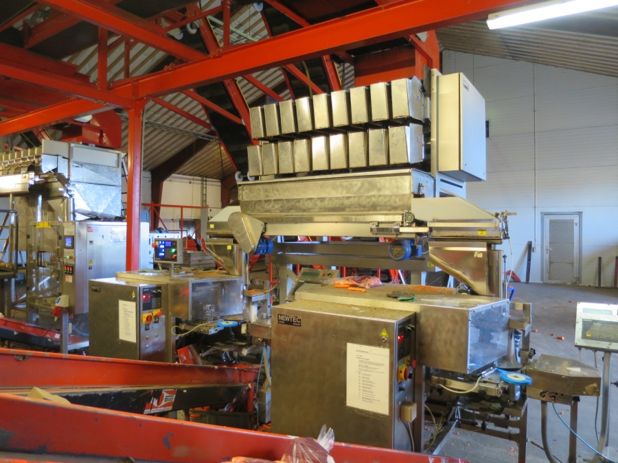 4032 Newtec 3009 weigher with bagging line for carrots