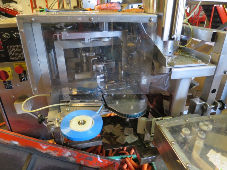 4032 Newtec 3009 weigher with bagging line for carrots