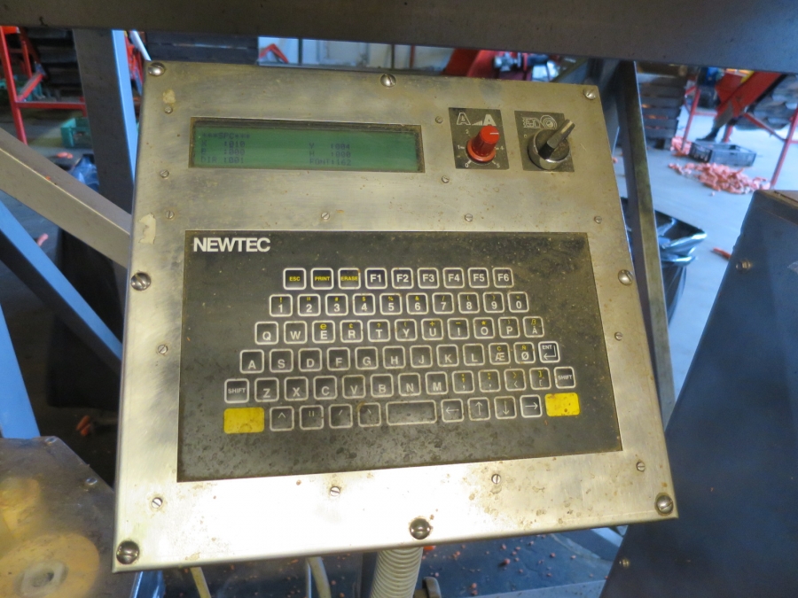 4032 Newtec 3009 weigher with bagging line for carrots