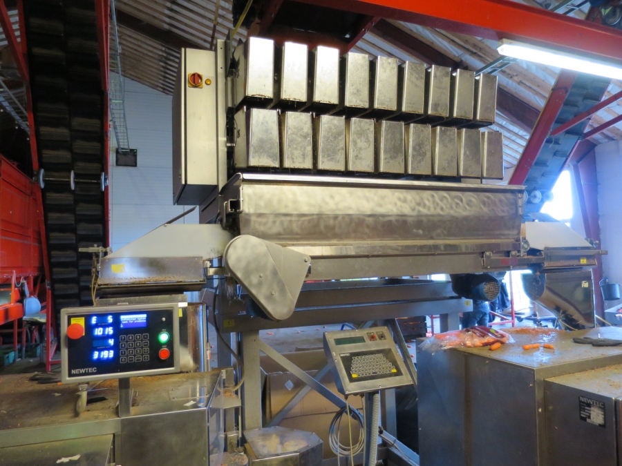 4032 Newtec 3009 weigher with bagging line for carrots