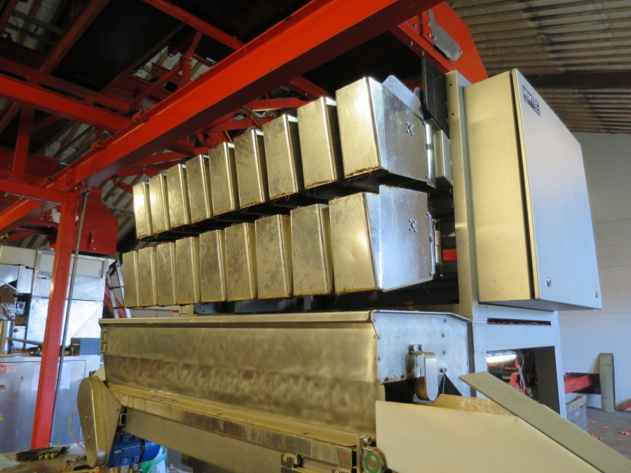 4032 Newtec 3009 weigher with bagging line for carrots
