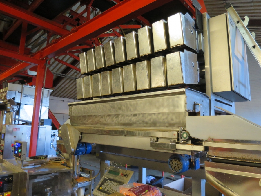 4032 Newtec 3009 weigher with bagging line for carrots
