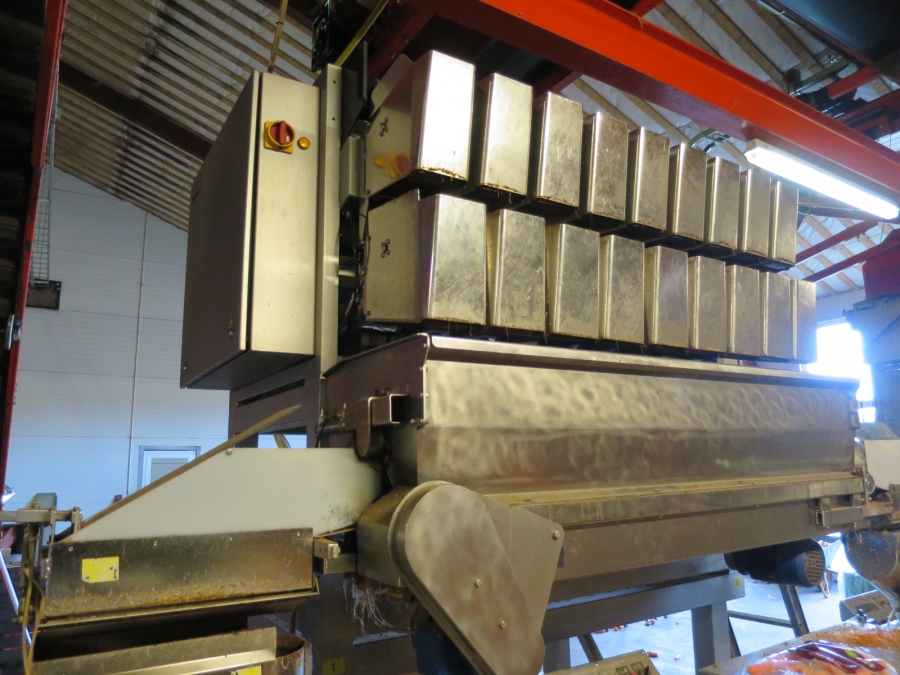 4032 Newtec 3009 weigher with bagging line for carrots