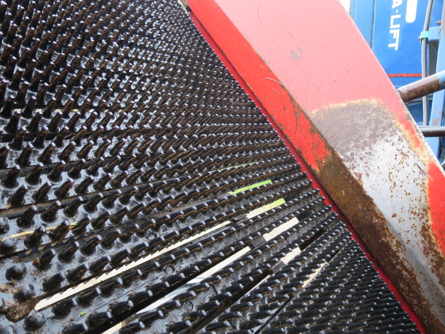 4073 Asa-Lift carrot harvester T-120B with bunker